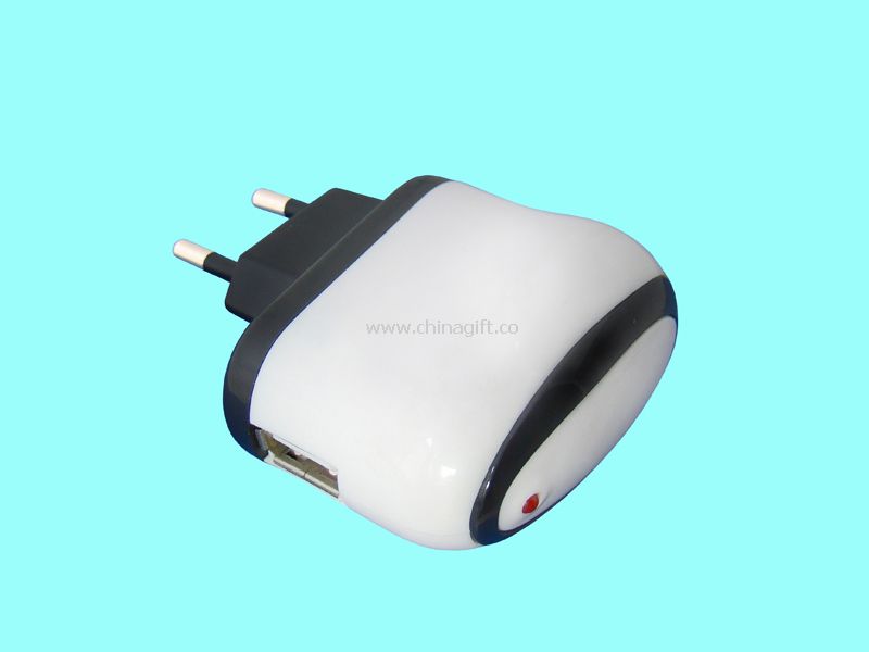 USB Travel Charger & Adapter