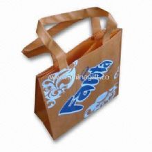 Eco Friendly Nonwoven Shopping Bag or Promotional Bag with Silkscreen Printing China