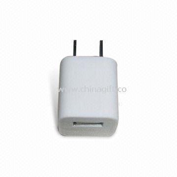 USB AC Wall Charger for iPhone and iPod