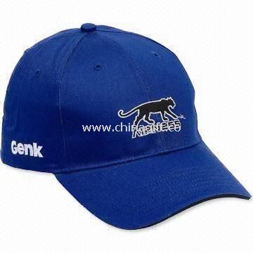 Promotional Sports/Baseball/Golf Cap