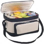 insulated 600d Cooler Bag