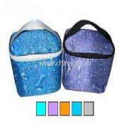 Printed 420PVC Cooler Bag with Top nylon zip