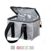 Silver 420DPVC Cooler Bag