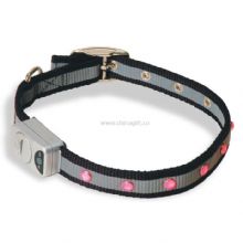 Pet Collar China