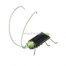 Solar grasshopper China