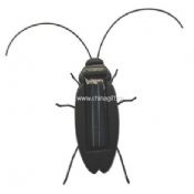 solar cockroach