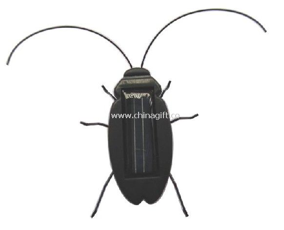 solar cockroach