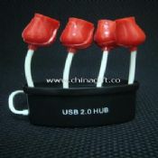 Rose USB 2.0 Hub