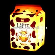 Mini night light China