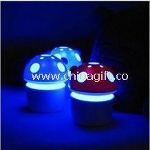 Mushroom aroma light China