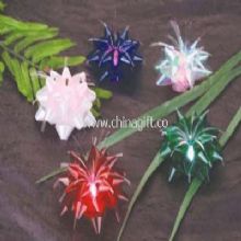 LED Flower Light China