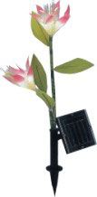 Solar lily light China