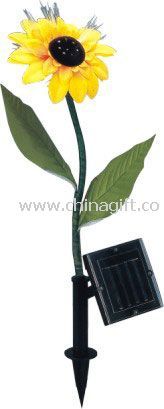 Solar sunflower light China