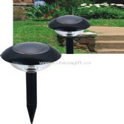 Small mushroom solar light