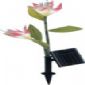 Solar lily light small pictures
