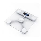 Stylish Body Scale with Large Digit Reading