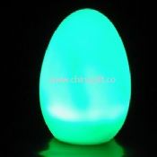 Flashing Egg