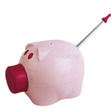 pig radio China