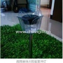 Solar Lawn Light China