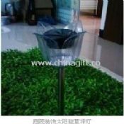 Solar Lawn Light