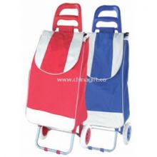 600D polyester with PVC coated Shopping trolley bag China