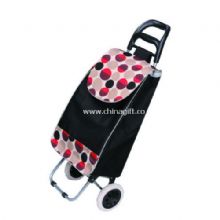 EVA wheel Shopping trolley bag China