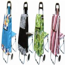 Foldable Shopping trolley bag China