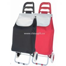 Shopping trolley bag China