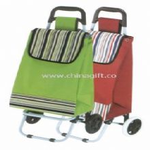 Shopping trolley bag China