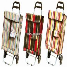 Shopping trolley bag China