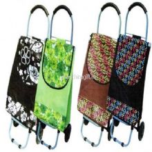 Shopping trolley bag China