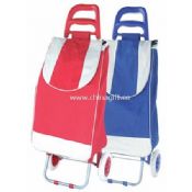 600D polyester with PVC coated Shopping trolley bag