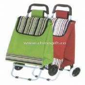 Shopping trolley bag