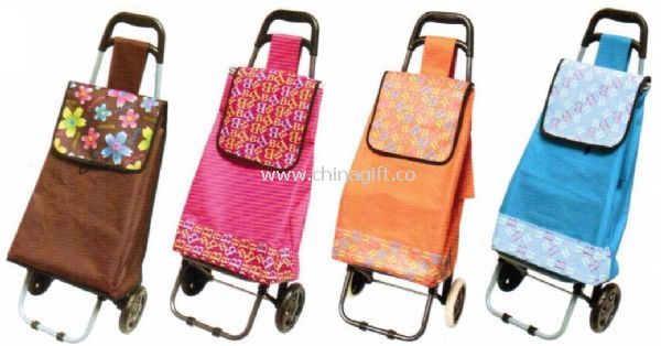 Shopping trolley bag