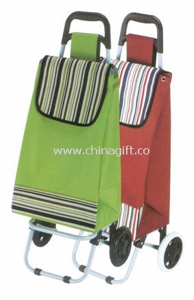 Shopping trolley bag