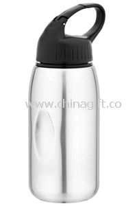 Carabiner Stainless Steel Sport Bottle