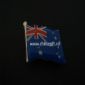 Magnetic Pin with Flag small pictures