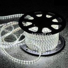 5050SMD High voltage flexible led strips China