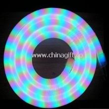 LED Neon Flex China