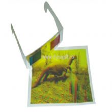 3D glasses China