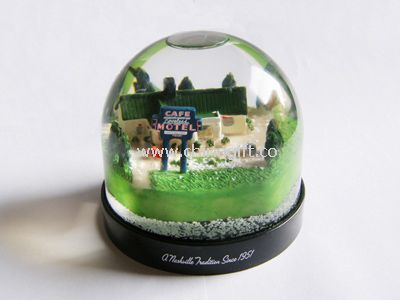Photo frame water globe