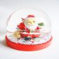 Snow globe small pictures