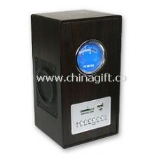 Digital Speaker China