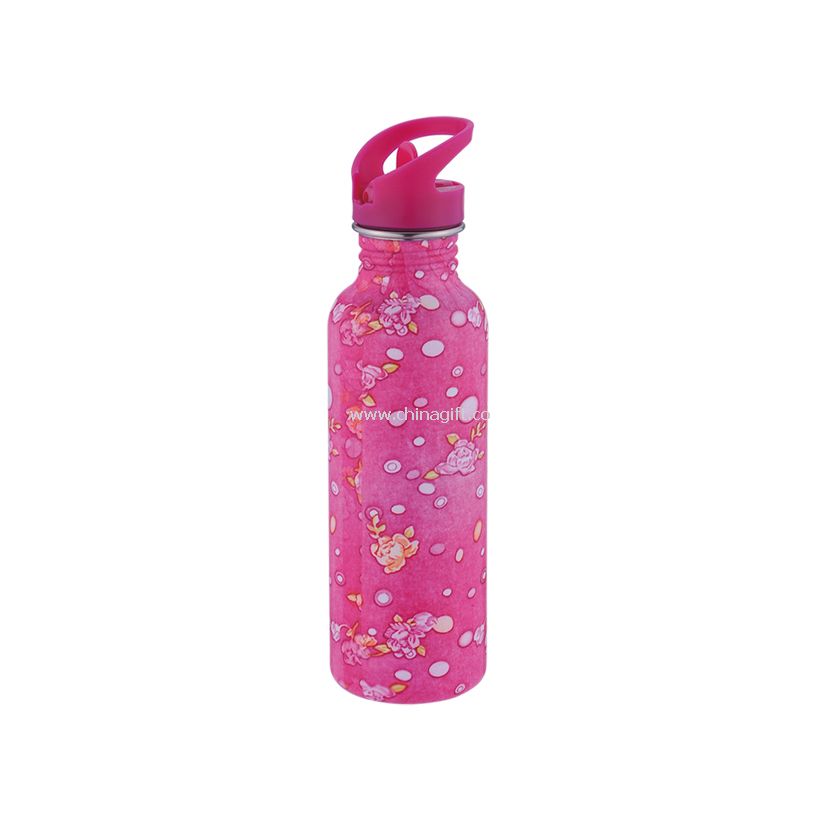 BPA Free Sport bottle