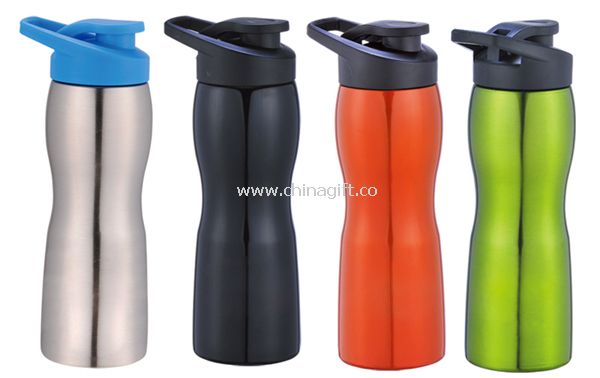 750ML BPA free steel bottle