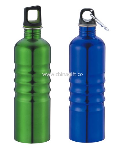 750ML Carabiner Water Bottle