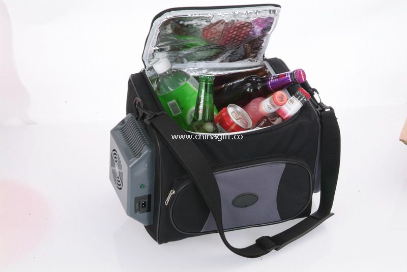Electric Cooler Bags