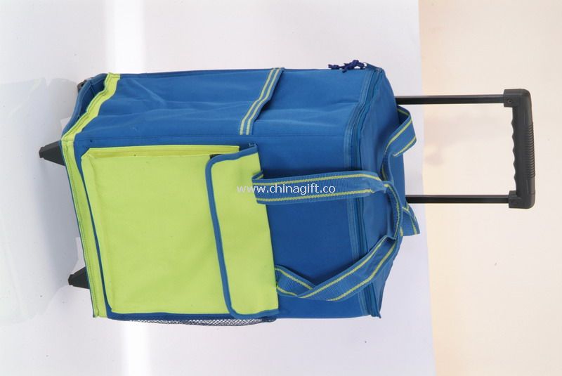 Foldable 12V Cooler Bag