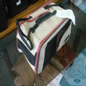 12V DC Cooler Bag