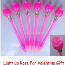 Rose Light pen China